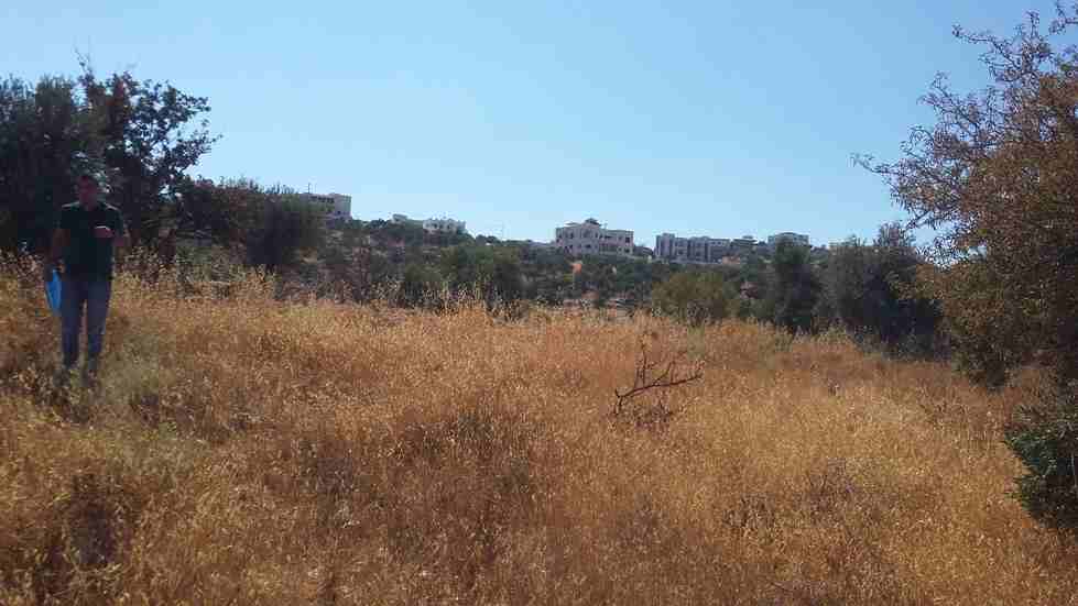 الأردن - عمان
قطع أراضي في وادي السير/ النعير - قرب مسجد عمر بن الخطاب
القرية: البصة
حوض: النعير
المساحات: 514م، 582م، 669م، 675م
الموقع: وادي السير/ النعير - على بعد 300م من مسجد عمر ب...