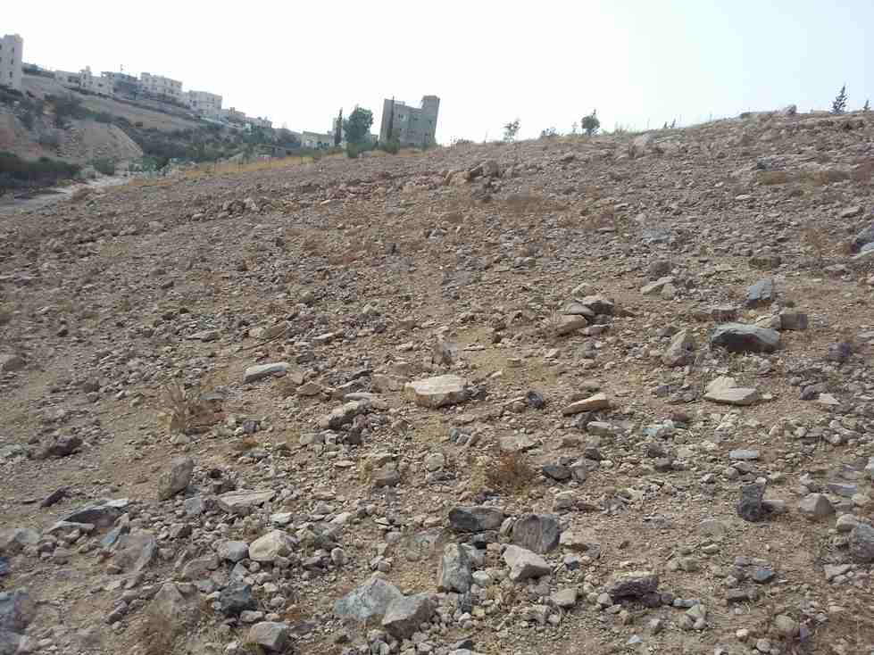الأردن - الزرقاء
قطعة ارض في جريبا/ حي الرشيد - قرب مسجد العويسات
*ضمن أراضي محافظة الزرقاء
القرية: جريبا
حوض: مذبح البعير
المساحة: 1341م
الموقع: جريبا/ حي الرشيد - تبعد 550م عن مسجد العويسات
تب...