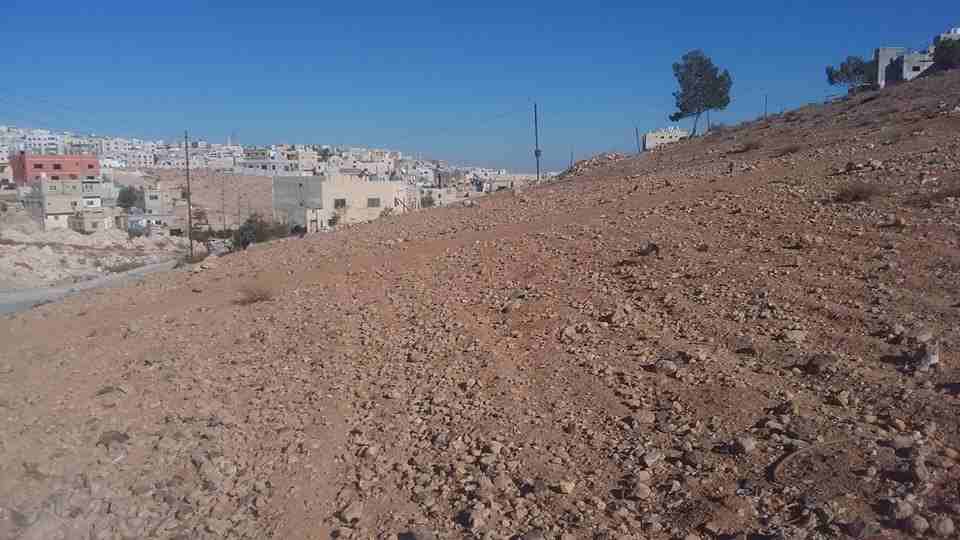 الأردن - الزرقاء
قطعة ارض في جريبا - قرب مسجد التوحيد
*ضمن أراضي محافظة الزرقاء
القرية: جريبا
حوض: مذبح البعير
المساحة: 445م
الموقع: تبعد 130م عن مسجد التوحيد، 950م عن طريق ياجوز
التصنيف: سكن ج...