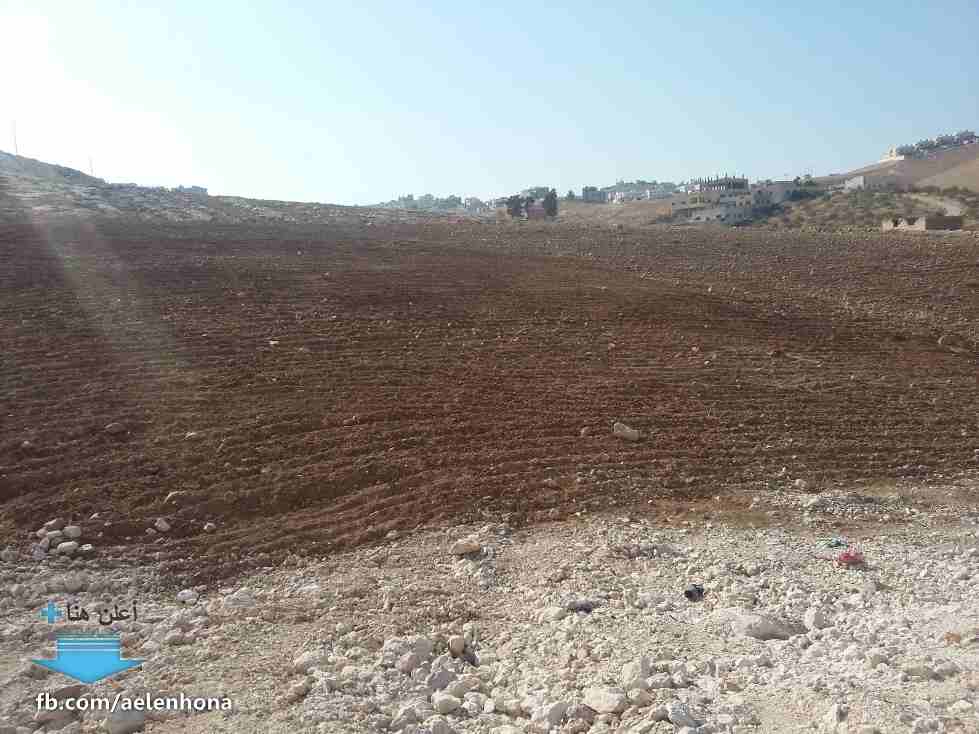الأردن - عمان
قطعتي ارض متجاورتين في جريبا/ جوفة ذياب - تبعد 520م عن مسجد أبو بكر الصديق
مع إمكانية التقسيط لمدة سنة كاملة
*ضمن أراضي محافظة الزرقاء
القرية: جريبا
حوض: جوفة ذياب
الموقع: جريبا/ ج...