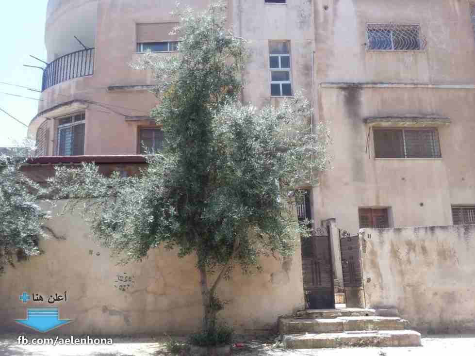 الأردن - عمان
قطعة ارض في الهاشمي الشمالي - قرب حديقة الأمير هاشم بن الحسين
*ضمن أراضي شرق عمان
القرية: النويجيس
حوض: خنيفسة
المساحة: 511م
**عليها بناء قديم مكون من 3 طوابق
الموقع: الهاشمي الشم...