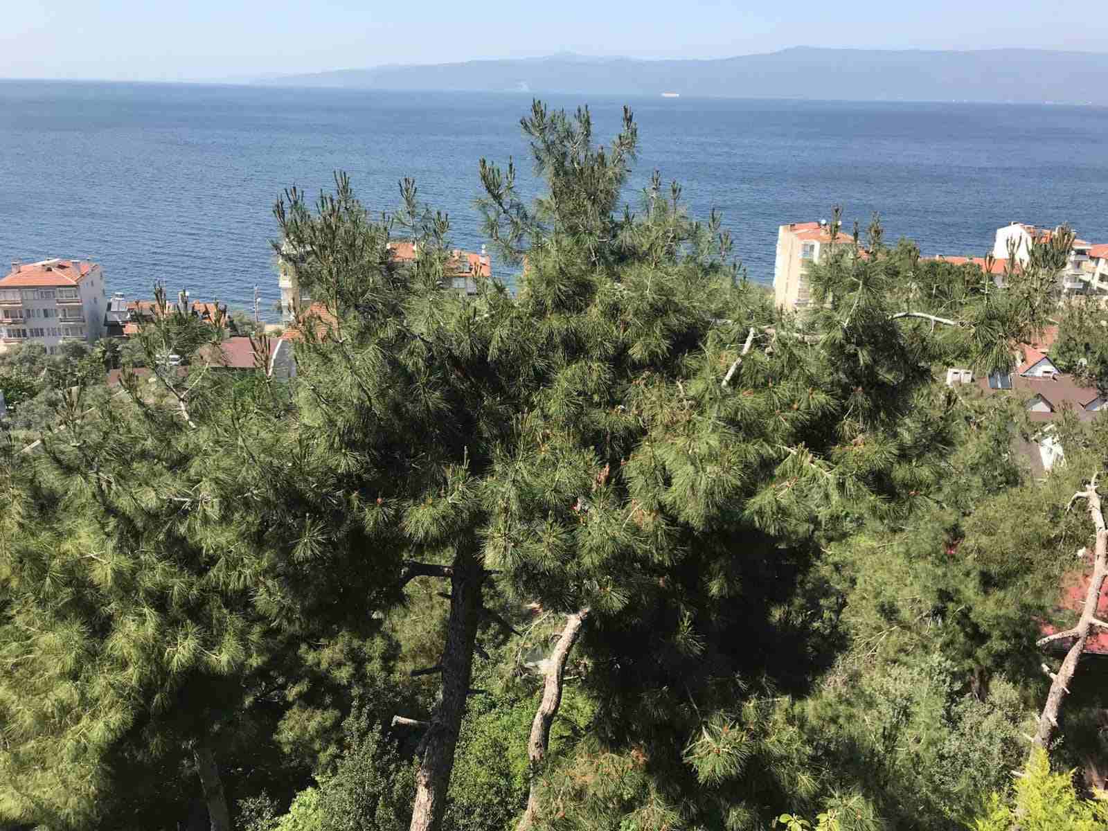 مزرعة للبيع في أنطاليا 2020 - بيت مع حديقة للبيع في أنطاليا 2020
تواصلوا معنا عبر الاتصال أو عبر الواتس أب: 00905372854761
زورونا في موقعنا الرسمي: https://www.trabzonaqar.com/
السفر الى انطاليا عر...