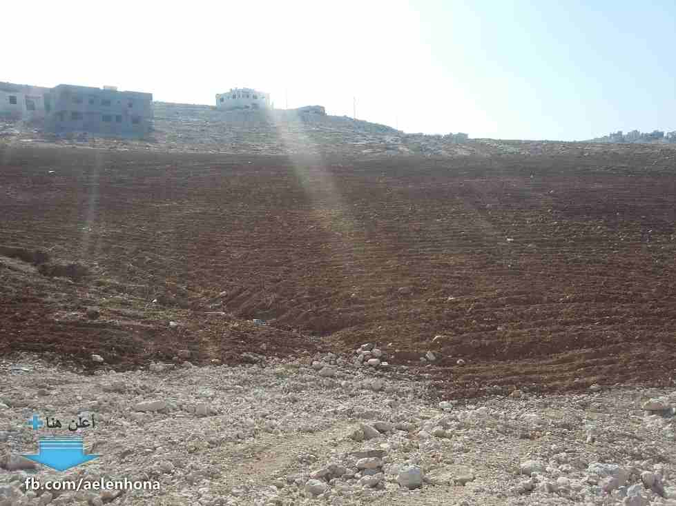الأردن - عمان
قطعتي ارض متجاورتين في جريبا/ جوفة ذياب - تبعد 520م عن مسجد أبو بكر الصديق
مع إمكانية التقسيط لمدة سنة كاملة
*ضمن أراضي محافظة الزرقاء
القرية: جريبا
حوض: جوفة ذياب
الموقع: جريبا/ ج...