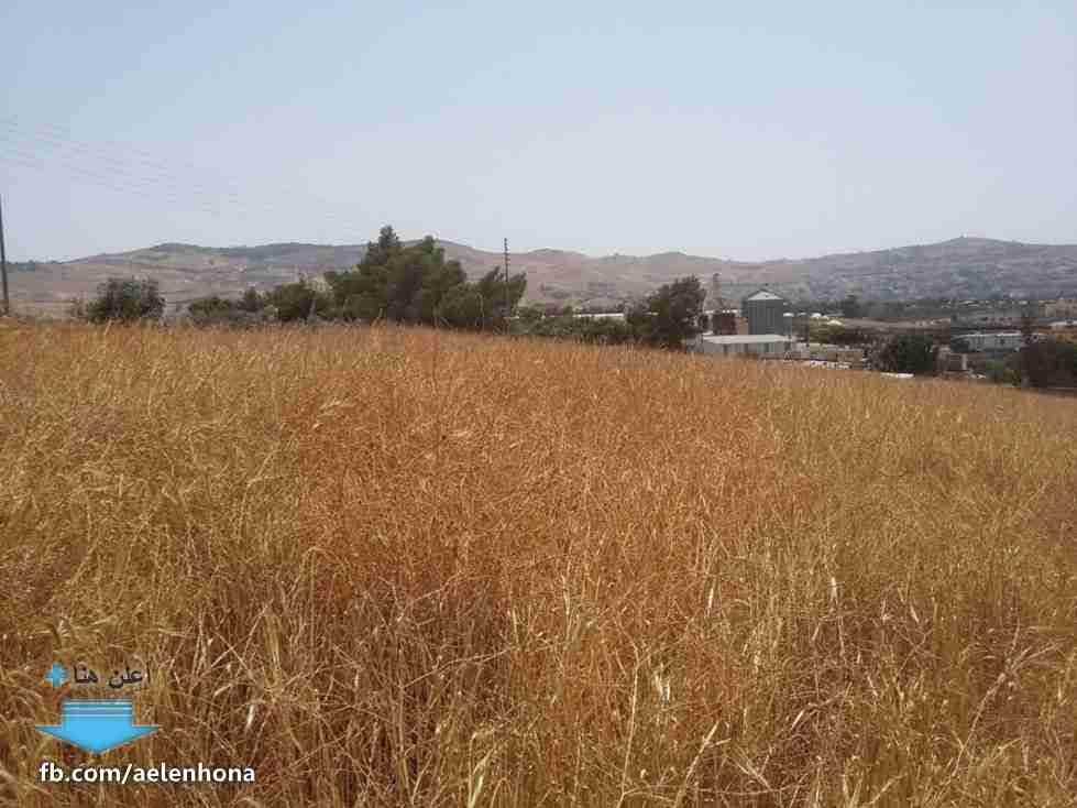 الأردن - عمان
قطعة ارض في موبص - تبعد 750م عن تقاطع شارع عمان جرش مع شارع الأردن
*ضمن أراضي شمال عمان
القرية: موبص
حوض: سنينة النصارى
المساحة: 600م
الموقع: موبص - تبعد 750م عن تقاطع شارع عمان جر...
