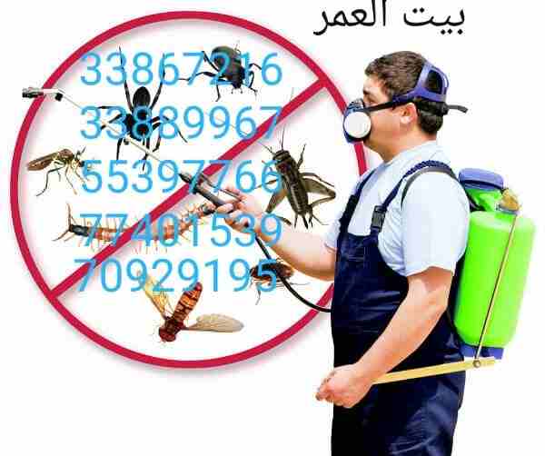 تقدم لكم : شركة بيت العمر 
اقوي عروضها في مكافحة الحشرات والزواحف والقوارض باقوي تركيبة مبيد عام من المواد والمبيدات الالمانية والفرنسية لبيت خالي من الحشرات وعروضنا كالتالي....
رش فيلا داخل : ١٥٠ ريا...