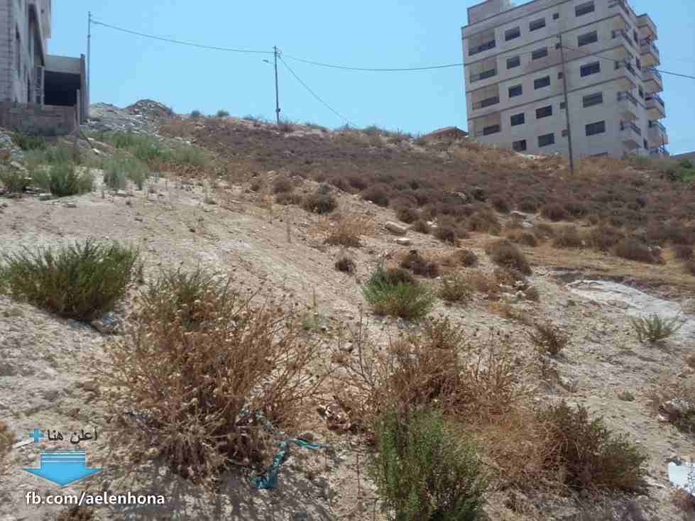 الأردن - عمان

قطعة ارض في صافوط/ مرج البير - تحت قصر الأميرة بسمة ب660م

*ضمن أراضي شمال عمان

القرية: صافوط

حوض: مرج البير

المساحة: 589م

الموقع: صافوط/ مرج البير - تحت قصر الأميرة بسمة ب660م

واج...