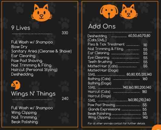 Nine Tails Pet grooming based in Abu Dhabi specializing in quality pet grooming services. We are happy to have the opportunity to provide you with the ultimate pet grooming experience ensuring our fur...