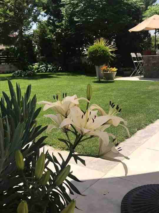 لتنسيق الحدائق و المظلات والشلالات 0562409023