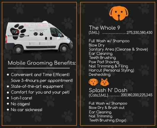 Nine Tails Pet grooming based in Abu Dhabi specializing in quality pet grooming services. We are happy to have the opportunity to provide you with the ultimate pet grooming experience ensuring our fur...