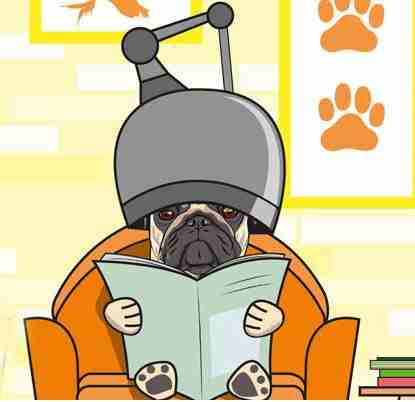 Nine Tails Pet grooming based in Abu Dhabi specializing in quality pet grooming services. We are happy to have the opportunity to provide you with the ultimate pet grooming experience ensuring our fur...