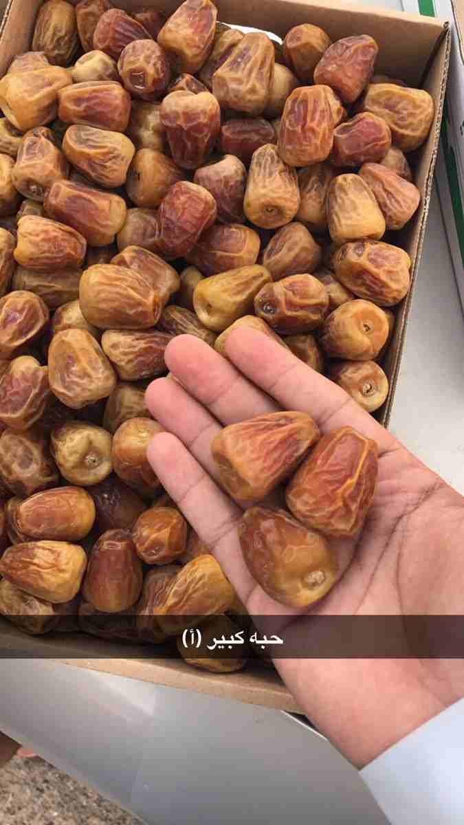 عرض خاص اكبر مصنع للتمور بالسعودية
- لطلبات التمور بكميات كبيرة
من مصنع نخيل الوطن السعودي
تم تأسيس مصنع نخيل الوطن عام 1996م لانتاج التمور علي مساحة تفوق 26 الف متر مربع، و العمل في تطور مستمر حتي...