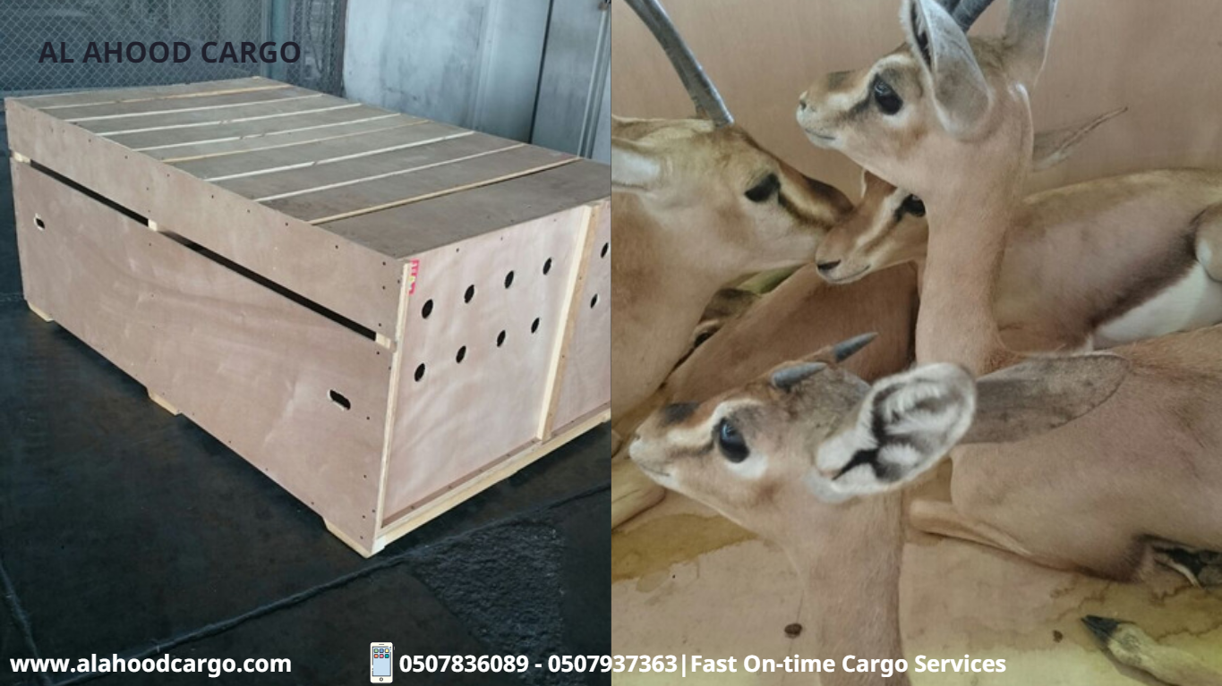 شحن من الإمارات إلى السعودية 971507836089+