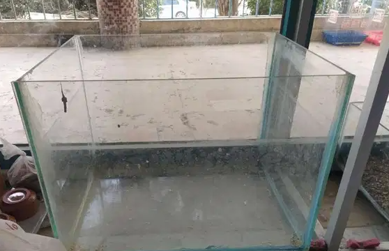 حوض سمك للبيع