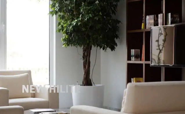 Sea view one bedroom furnished apartment for rent in Mangaf