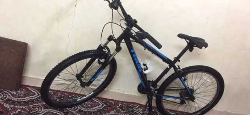 Trek 820