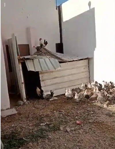 للبيع طقم فيومي