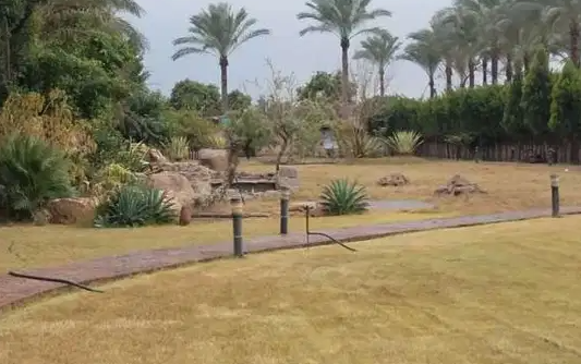 فيلا كالقصر بالمنصوريه الرئيسى