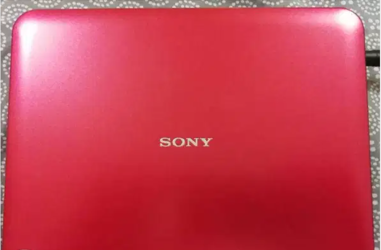 Sony portable LCD screen DVD Player for sale