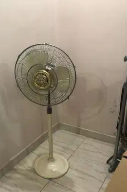 Royal Pedestral Fan