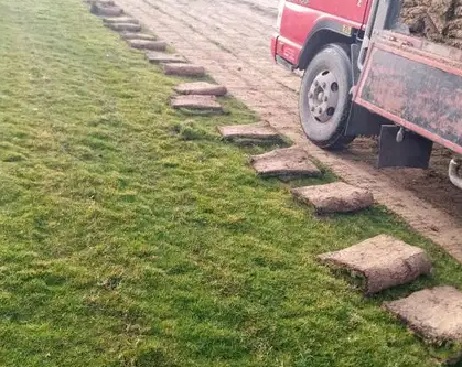 نجيل طبيعي ونباتات الزينه
