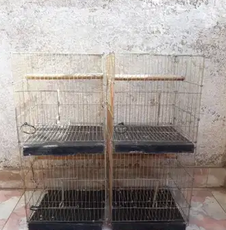 سلاكتين 2 دور زيرو