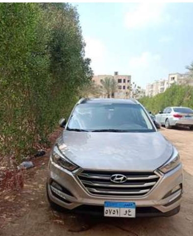 توسان فابريكة للبيع