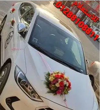سيارة ايجار