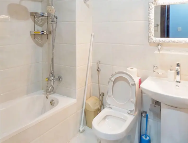 Furnished apartment for rent in Majestic Towers