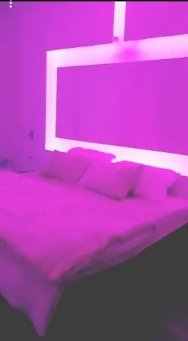 شقه استديو للايجار