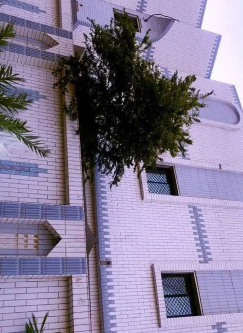 للبيع فيلا دورين وملحق ( حرة ) داخل حدود الحرم النبوي الشري