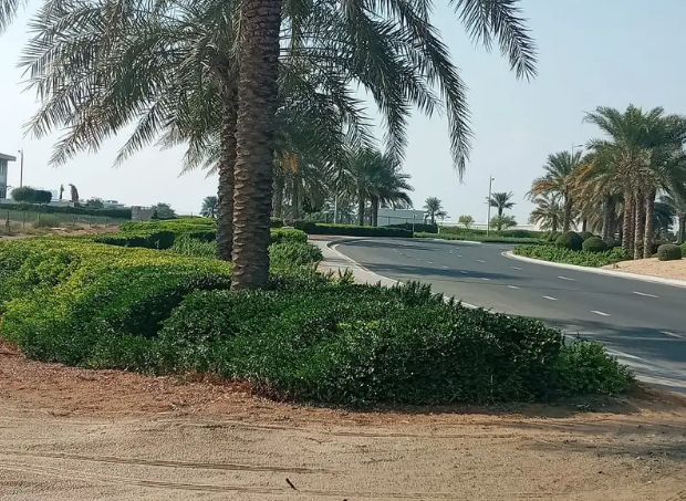I own a land to build your dream home in the Al-Zorah area
Own your dream home in Al-Zorah
The best views in the Emirate of Ajman
Ready, modern designs that satisfy all tastes, you can choose from the...