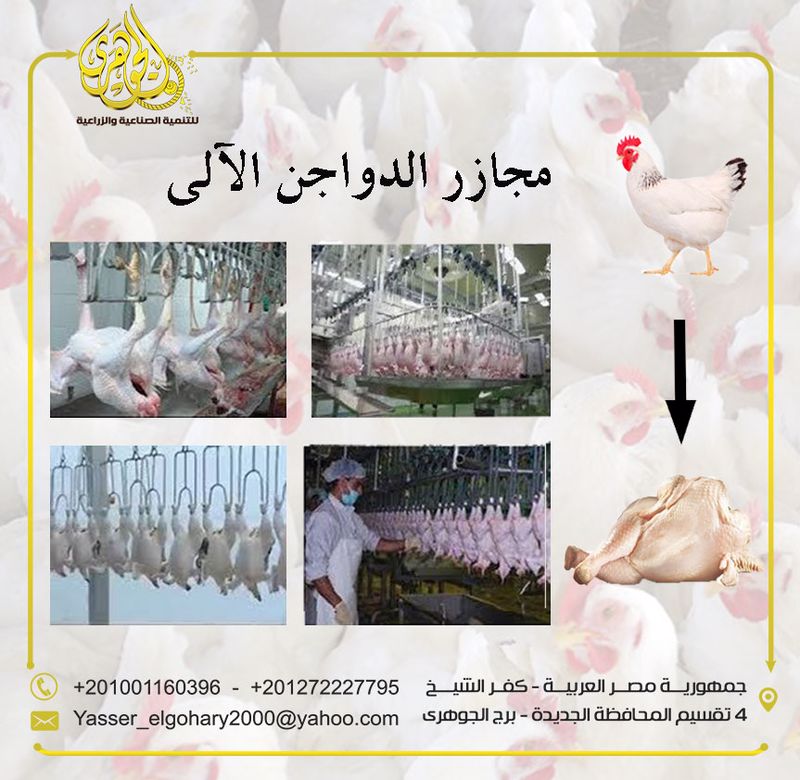 مشروع مجزر دواجن الى

مشروع مجزر دواجن آلي لذبح وتنظيف وتغليف الدواجن والطيور بغرض بيعها الى جهات متنوعة يعد واحدًا من المشاريع المتميزة التي يمكن ان تحقق ارباح ضخمة على مدار فترة عمل المشروع
(المشاري...