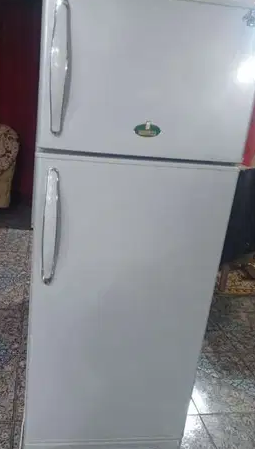ثلاجةً كريازى نوفروست 16 قدم