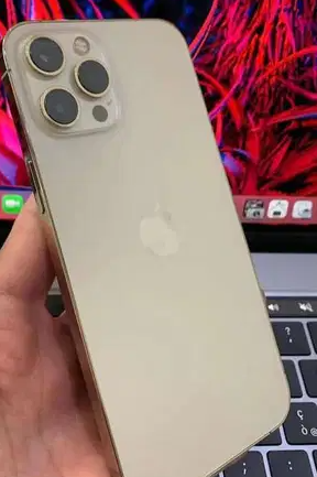 Iphone12 Pro Max