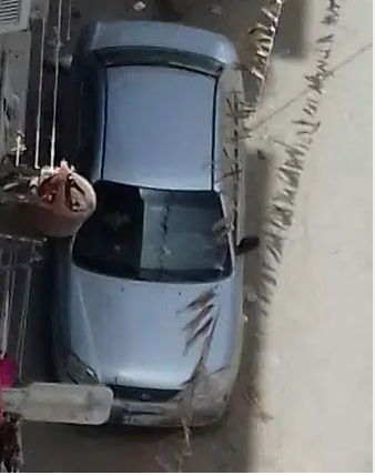 فيرنا فضى 2013
