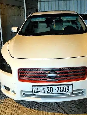 Maxima Pearl White 2012