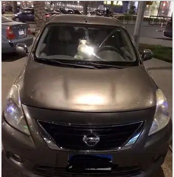 نيسان صيني 2014
