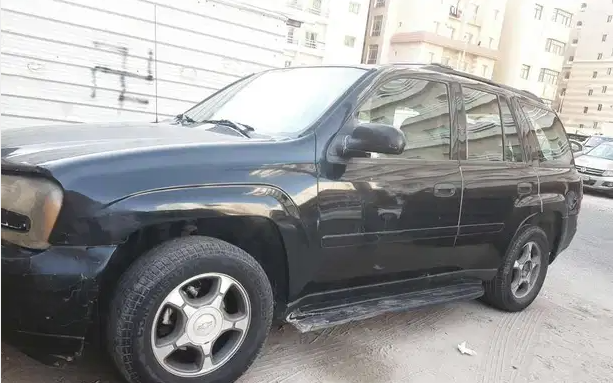 تريل بليزر 2009