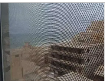 شقه في النخيل 2 للبيع